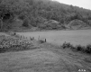 Russell Y. & Robert G. Thomas Property
