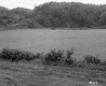 Russell Y. & Robert G. Thomas Property