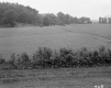 Russell Y. & Robert G. Thomas Property