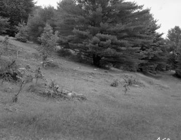 Brattleboro Retreat Property