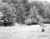 Brattleboro Retreat Property