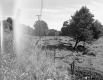 Almer and Alice Bridge Property