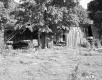 Almer and Alice Bridge Property