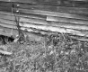Almer and Alice Bridge Property
