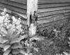 Almer and Alice Bridge Property