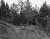 Donald & Anne Lawson Property