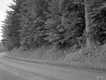 Donald & Anne Lawson Property