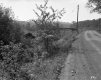 Donald & Anne Lawson Property