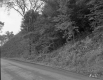 Donald & Anne Lawson Property