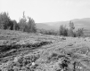 Henry A. & Margaret Miner Property