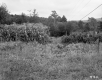 Camp Wyoda