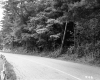 Aloha Camps, Inc.