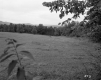 Stanley W., Lawrence C., and Ruth S. Moore Property