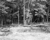 Stanley W., Lawrence C., and Ruth S. Moore Property