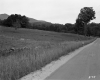 Clifton W. & Alicia Moore Property