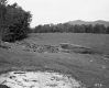 Clifton W. & Alicia Moore Property