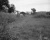 Clifton W. & Alicia Moore Property