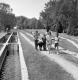 Youngsters at a fish hatchery