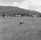 Vermont Countryside