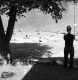 Watching the beach