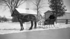 Horse and Carriage