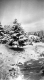 Vermont Winter Scene