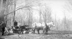 Three Men and Two Horses