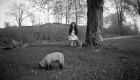 Girl Swinging From Tree