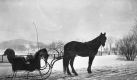 Horse and Carriage