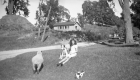 Girl With Farm Animals
