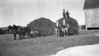 Horses Carrying Hay
