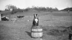 Dog on Barrel