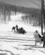 Sitting near the ""Dutchman's Holiday"" trail at Dutch Hill Ski Company