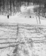 The "Dutchman's Holiday" trail