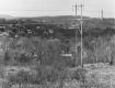 Clarks Woods