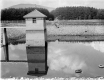 Water Department