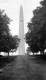 Bennington Monument