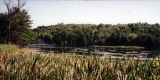 View of Laplatte Marsh