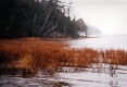 Shelburne Bay in Summer