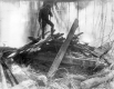 Checking out the Debris Pile