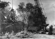 Crane Lifts Stump
