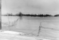 Icy Farmland