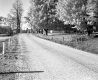 Section of Road from Pawlet to Tinmouth