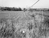 Anthony P. and Mary G. Neri Property