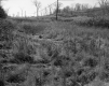 Anthony P. and Mary G. Neri Property