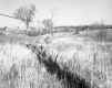 George H. and Beatrice F. Marshall Property