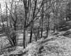 George H. and Beatrice F. Marshall Property