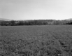Edmund L. and Aurelia M. Kelton Property