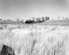 Edmund L. and Aurelia M. Kelton Property