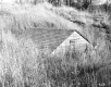Well house in Field